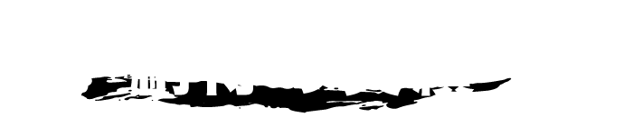 納得の実績